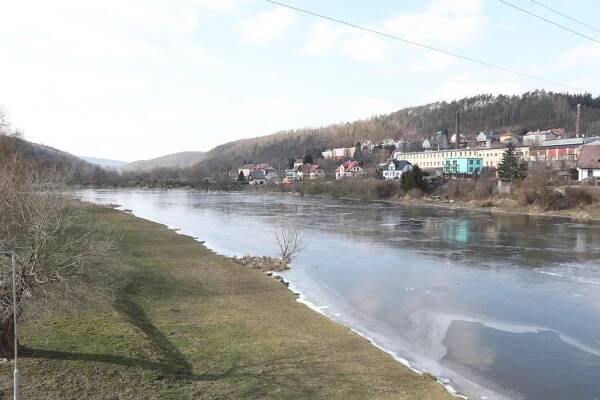 Naštvaná kuna, těhotná na sjezdovce: Pojišťovny sčítají škody za letošní zimu