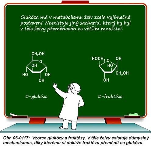 06-0117 Vzorce glukózy a fruktózy