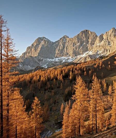 Goldener Herbst auf der Reiteralm