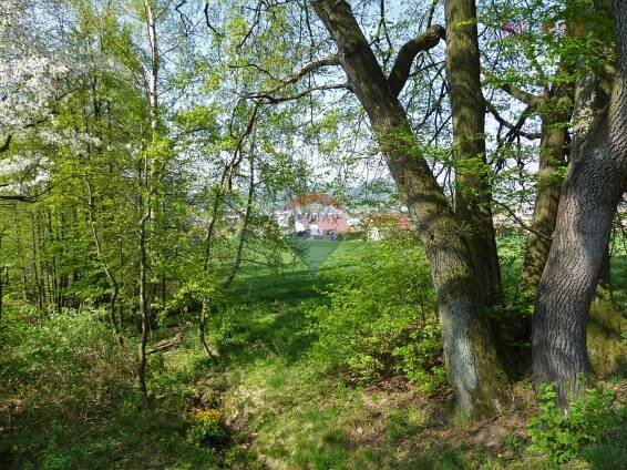 Prodej Pozemek, Tylovice, Rožnov pod Radhoštěm, Vsetín