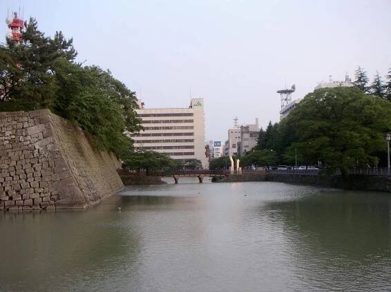 Fukui Domain