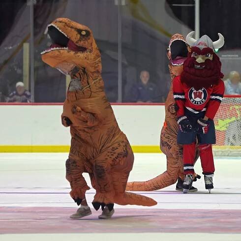 Dino Race