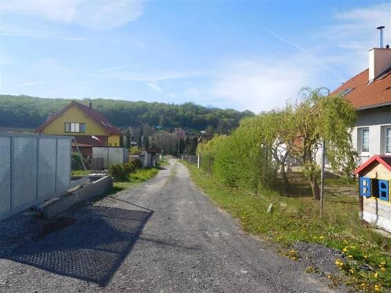 Bubovice na jaře