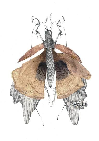 Faerie .jpg