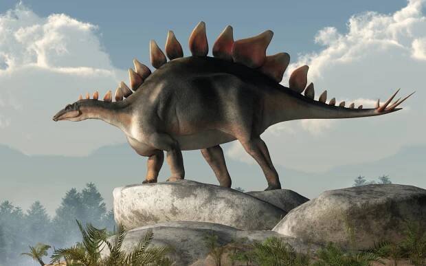 Stegosaurus: Steckbrief + 7 Merkmale des Dinosauriers » schreiben.net