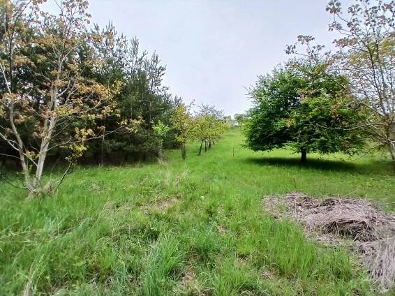 Prodej zahrady - Brno-venkov - Střelice - CP 690 m2