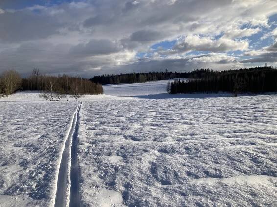 Běžkování v regionu: Dvůr Králové a okolí (10. února 2023)