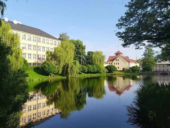 Zeleň na každém kroku. Podívejte se na snímky města Havlíčkův Brod a jeho okolí