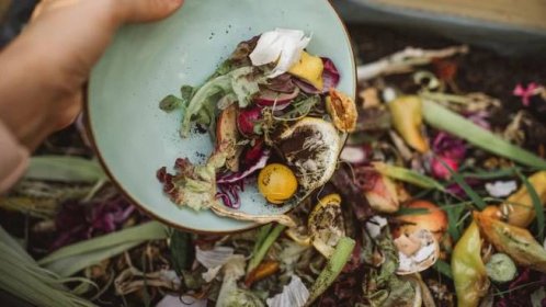 Zbytky zeleniny patří do kompostu