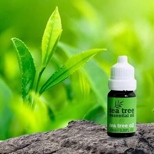 Použití tea tree oil: Výhody a aplikace