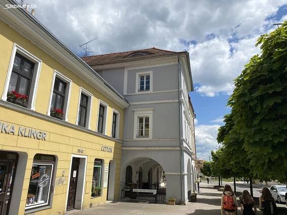 Pronájem Byt 1+1, Dlouhá, Litoměřice - Litoměřice-Město