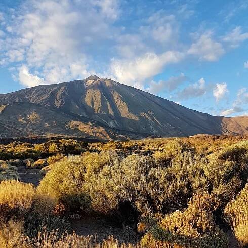 Teide national park - Jan Willem Plug