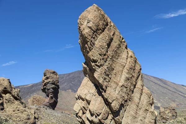El Torrotito And Roque Cinchado