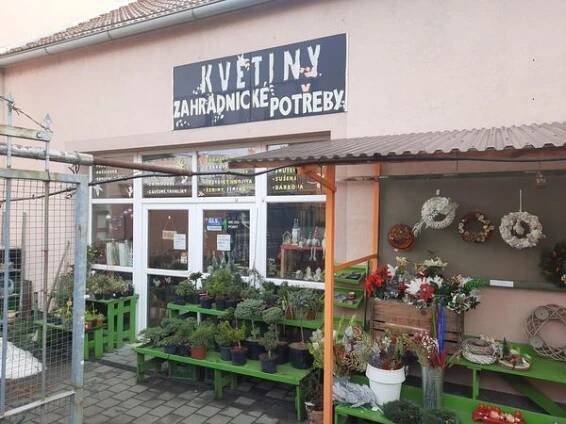 Květiny Znojmo foto 3