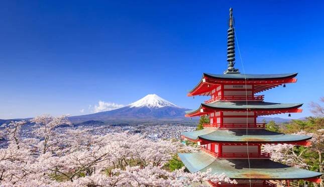 Češi loví letní letenky jako cestovatelské jackpoty, v kurzu je Japonsko, Aljaška i gorily v Ugandě