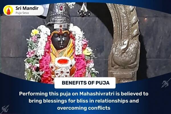 Mahashivratri Meenakshi Sundareshwar Kalyanam Special Meenakshi Sundareshwar and Soma Sundareshwara Pujan for Bliss in Relationship and Overcoming Conflicts