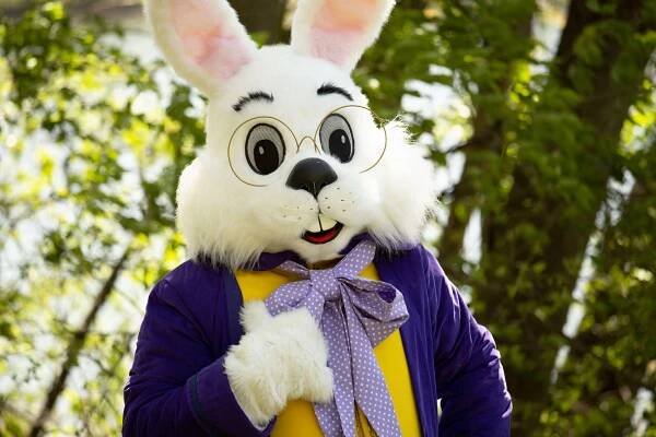 Late Rabbit