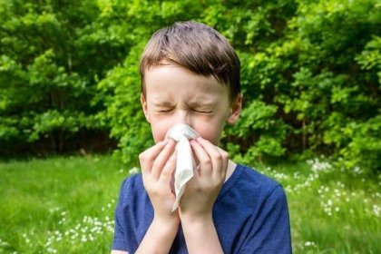 Proč se objevuje alergická rýma