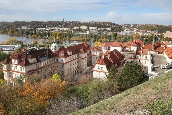 Praha dá dětem narozeným na Nový rok dar 15 tisíc korun. Piráti jsou proti
