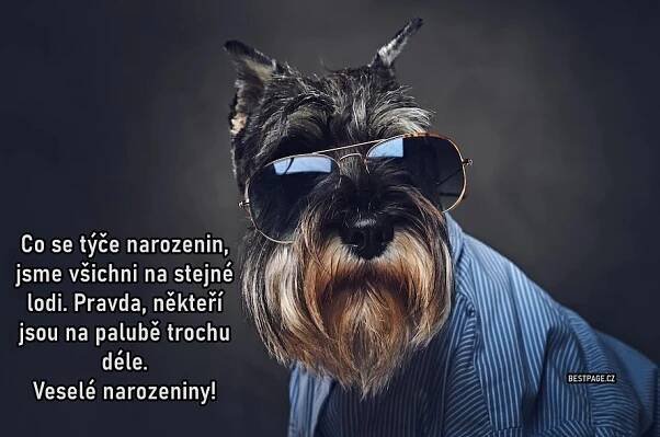 Přání k narozeninám texty, SMS, obrázky, pro ženy i pro muže