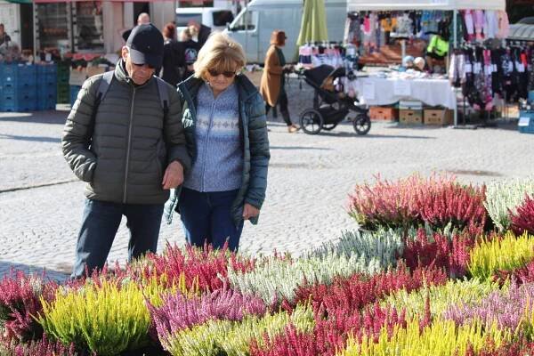 Hlávka květáku jenom za pětikorunu. Čáslavský trh lákal nakupující i ve svátek