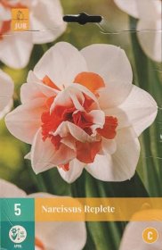 Narcis Replete (5 cibulí, plnokvětý, oranžovo-bílý, karta)