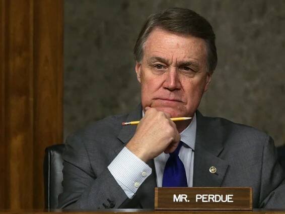 David Perdue: Donald Trump's man in the Senate