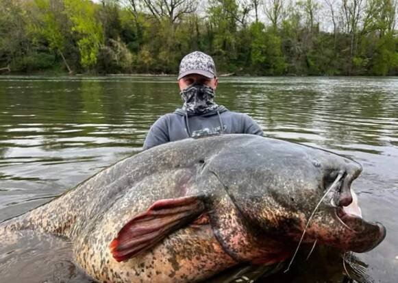 Rekordní sumec z Francie: obr v délce 279 cm zabral rybáři z týmu Vagner Fishing