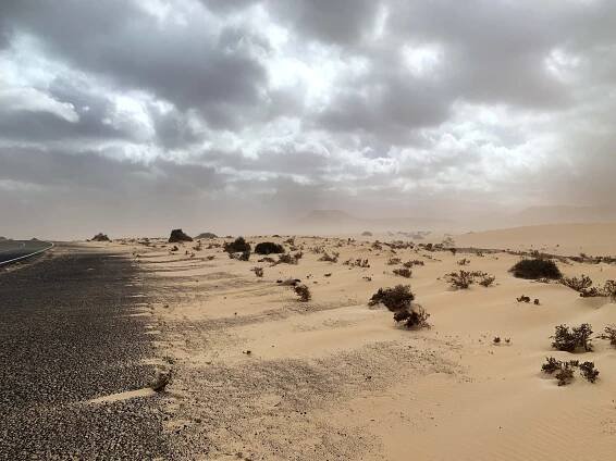 Away from the crowds on Fuerteventura: Parque Holandes