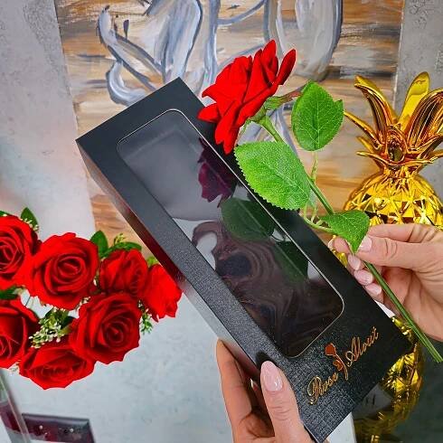 VĚČNÁ ČERVENÁ RŮŽE KVĚTINY KRABIČKA NAROZENINY DÁREK PRO ŽENY FLOWER BOX Výška 27 cm