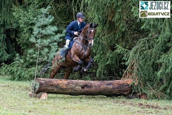 Říjnová Hubertova jízda v NH Kladruby 2015 | Jezdci.cz