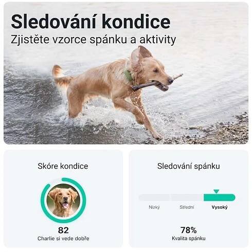 Tractive GPS Dog XL Tracker pro psy zelený | SpokojenyPes.cz 