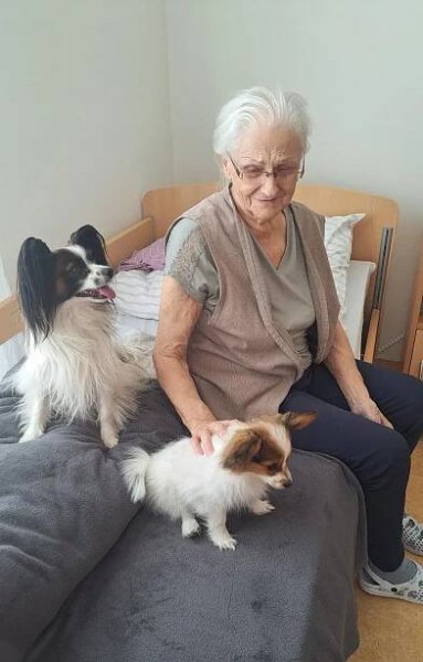 Canisterapie v ALZHEIMER HOME Boskovice | Alzheimer Home