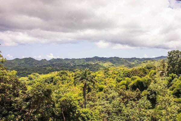 Surinam, Guyana, Tobago, Trinidad - poznávací zájezd - CK SEN