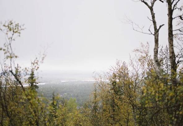 Lapland fall landscape