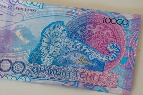 Horní pohled. 10000 kazašských tenge. Papírová bankovka. Pozadí s hotovostními penězi Republiky Kazachstán. . Kvalitní fotografie — Stock obrázek