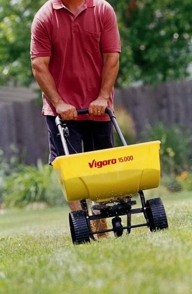 man fertilizing lawn grass