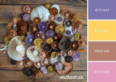 Winter produce color palette with top down view of vibrantly colored mushrooms on wooden table