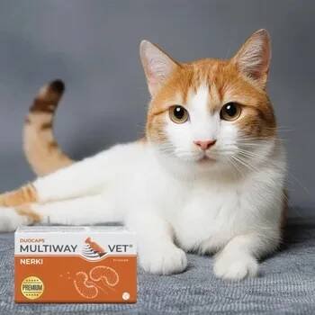 JM SANTE Multiway Vet Duocaps Kidneys - twist-off kapsle na ledviny pro psy a kočky – 60 ks