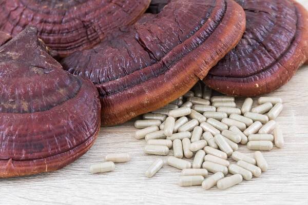 Mushroom Capsules