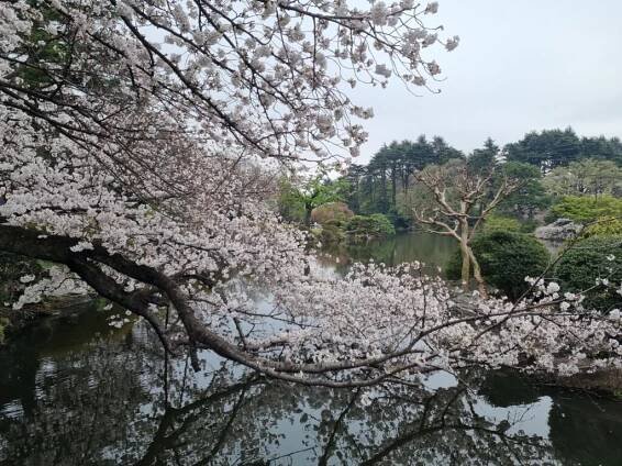 Japan 2024 – Kenrick's Notes