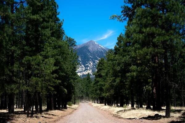 Flagstaff Trail