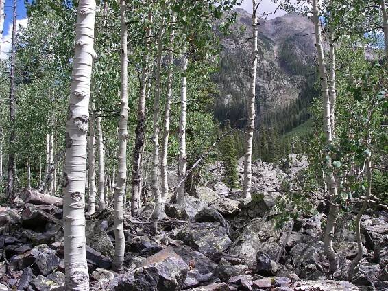 Weminuche Wilderness