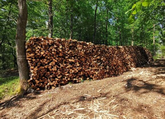 Wilde Zeiten im Hunsrück – www.holzheu.de