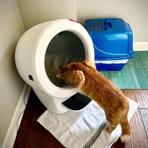 Whisker Litter-Robot 4