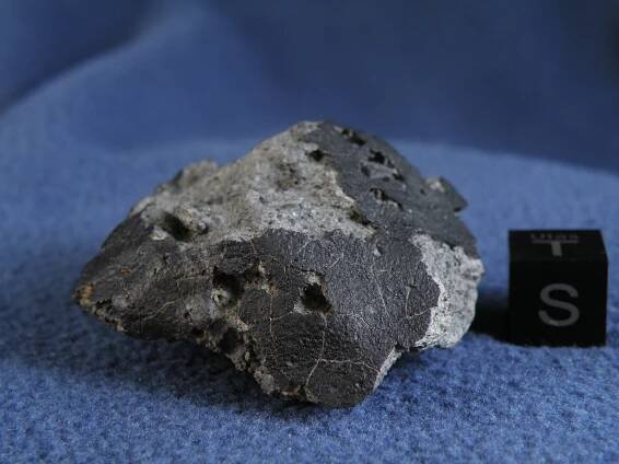 What do meteorites look like? - Meteorite Gallery