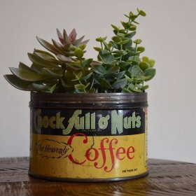 Vintage Chock Full O Nuts Coffee Tin Yellow Green Red with Succulents