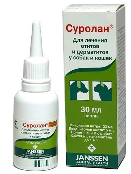 Цена колеблется от 700 до 1100 рублей.