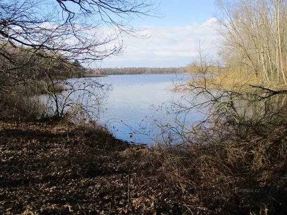 Pohránovský rybník (Pohránov)