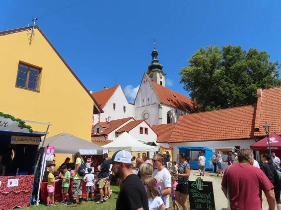 Borůvkobraní v Borovanech na Českobudějovicku si užívaly tisíce lidí